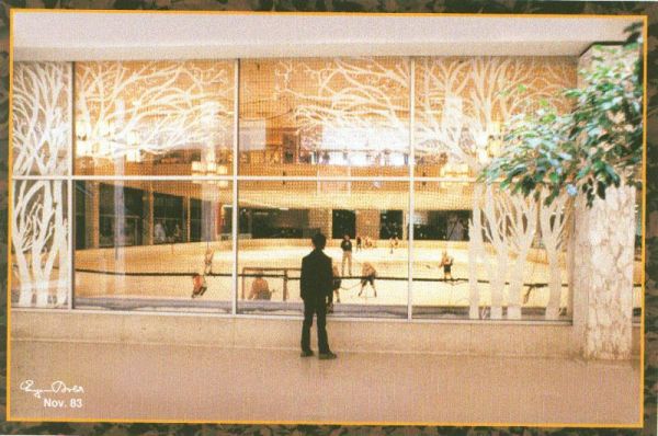 Ice Skating at the Ice Palace in 1983