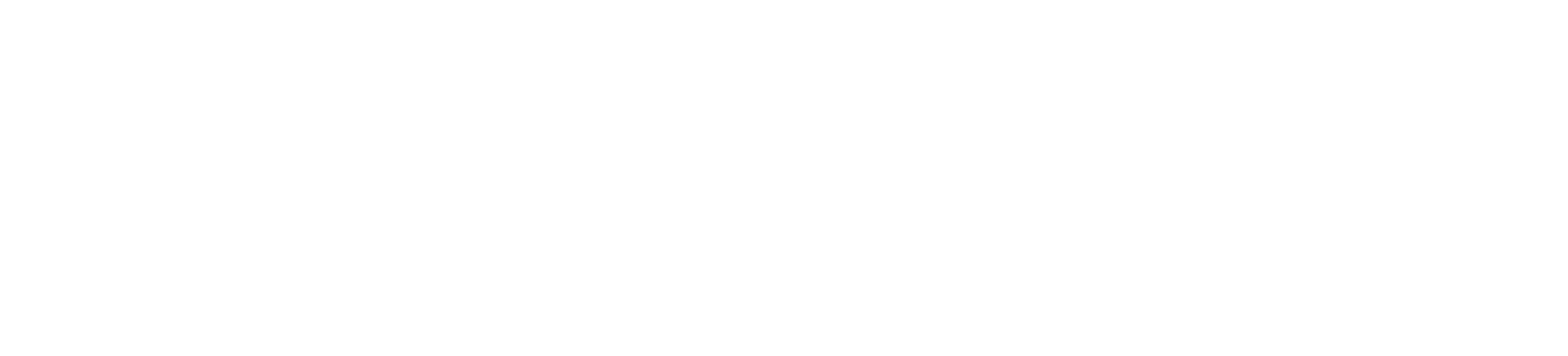 Chest-Tees logo